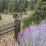 Wrought Iron fence