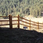 rail fence with gate
