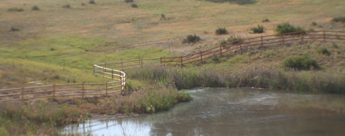 Rail Fences